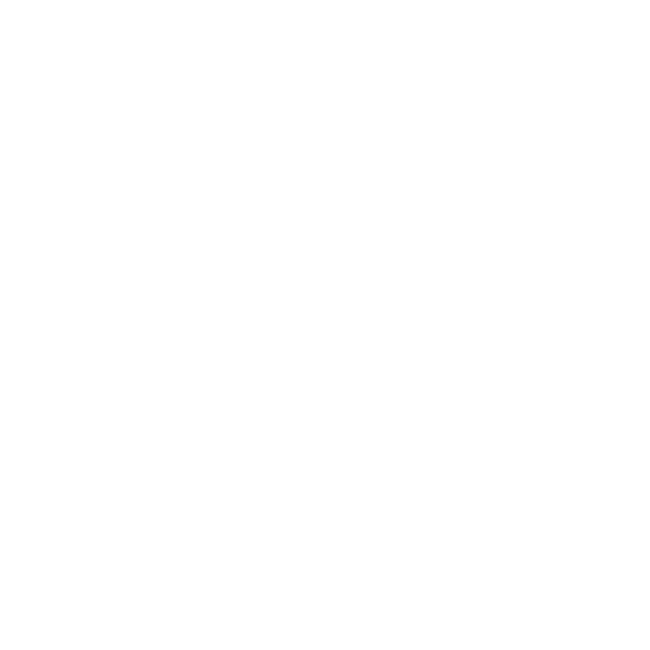 Security